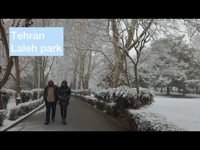 Tehran Laleh park winter 2023 تهران پارک لاله