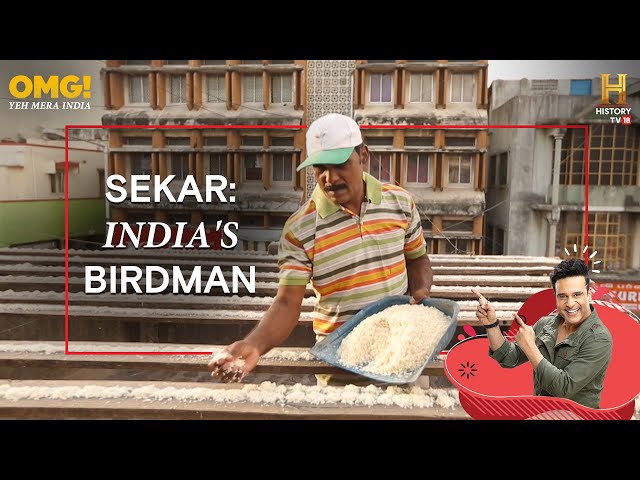 Did you know this man has been feeding thousands of birds every day? #OMGIndia S01E07 Story 1