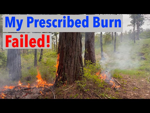 Using Prescribed Fire to Manage My Forest Land & Failing