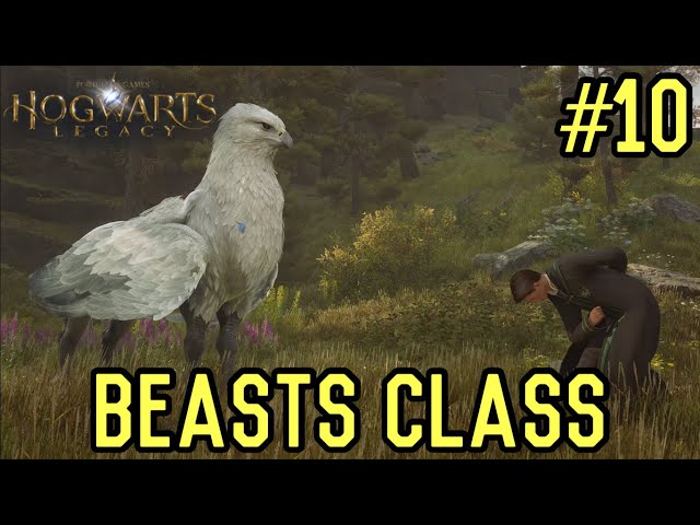 Hogwarts Legacy: My First Time In Beasts Class | Walkthrough