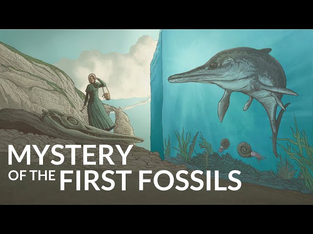What is the Oldest Fossil on Earth?