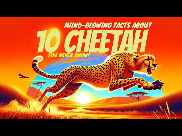 10 Mind-Blowing Facts About Cheetahs You Never Knew