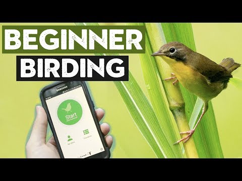 Improve Your Birding!
