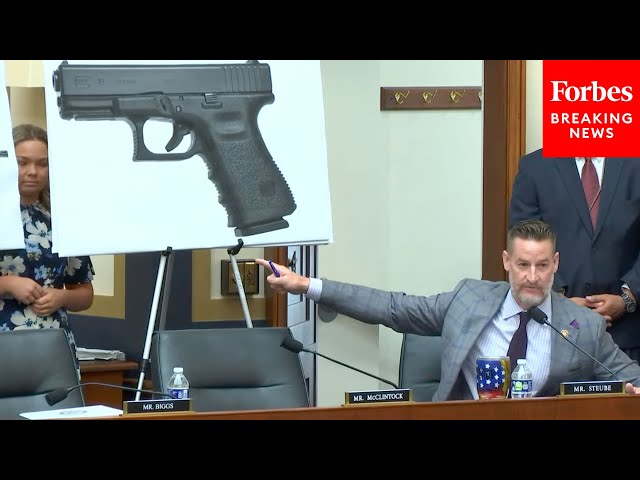 'Let Me Finish, Let Me Finish!': Greg Steube Has Tense Exchange With Democrats Over Gun Control Bill