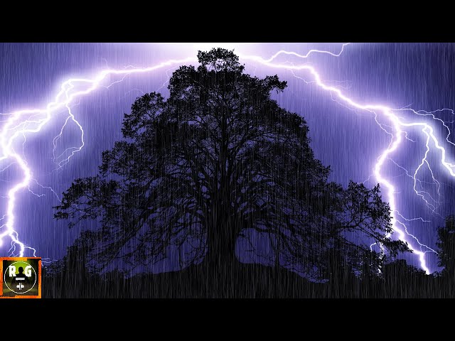 Thunderstorm Sounds and Rain on Dark Screen with Thunder and Lightning Sound Effects | Sleep Noises