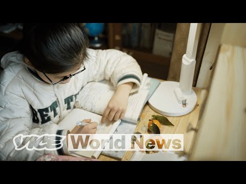 The Price of Education In China | Gen 跟 China