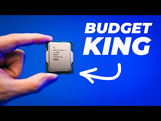ULTIMATE Budget CPU for Creators! | Intel i5 13500 CPU review