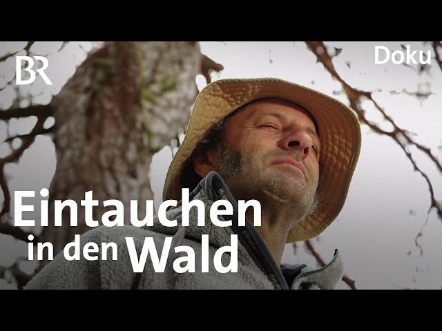 Wald als Therapeut: Waldbaden mit dem Schmidt Max | freizeit | Doku | BR