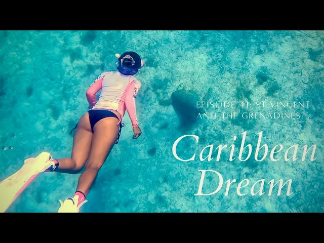 Caribbean dream - Sailing life EP41