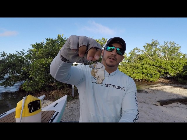 The Best Way To Rig Blue Crabs (For Bull Redfish & Black Drum)