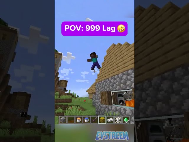 POV Your Friend has 999 LAG in Minecraft