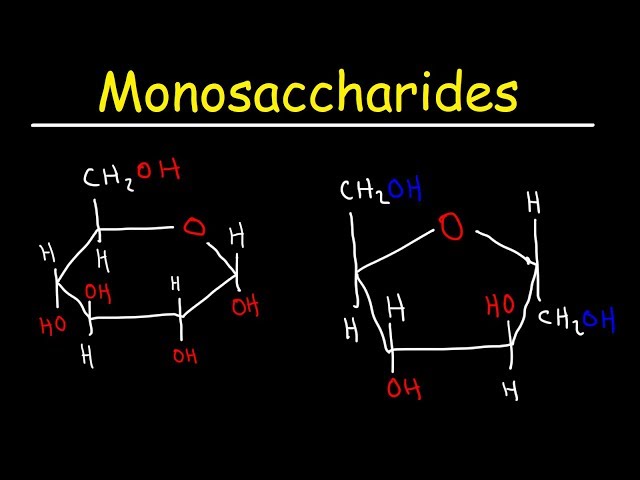 Monosaccharides - Glucose, Fructose, Galactose, & Ribose - Carbohydrates