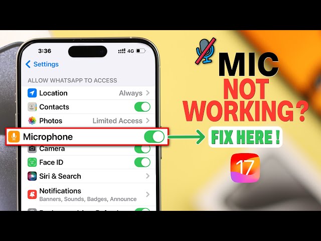 iOS 17: Microphone Not Working on iPhone 15 Pro Max/Plus! [How To Fix]