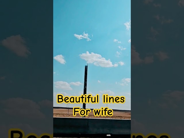 Beautiful lines for my wife #husband #wife #love #relationship #viral