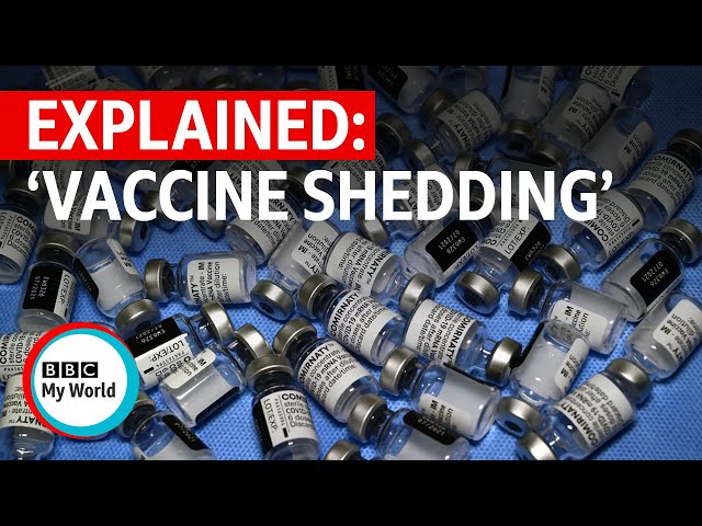 Coronavirus: Vaccine shedding explained, why Covid-19 jab can't cause illness - BBC My World #shorts
