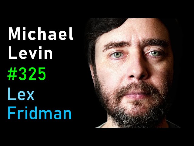 Michael Levin: Biology, Life, Aliens, Evolution, Embryogenesis & Xenobots | Lex Fridman Podcast #325