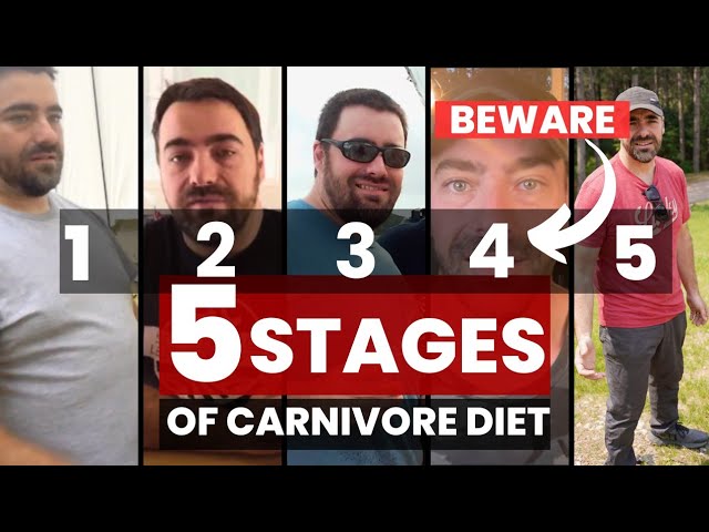 The 5 Stages of Carnivore Diet (4 Will SHOCK YOU) Day 211