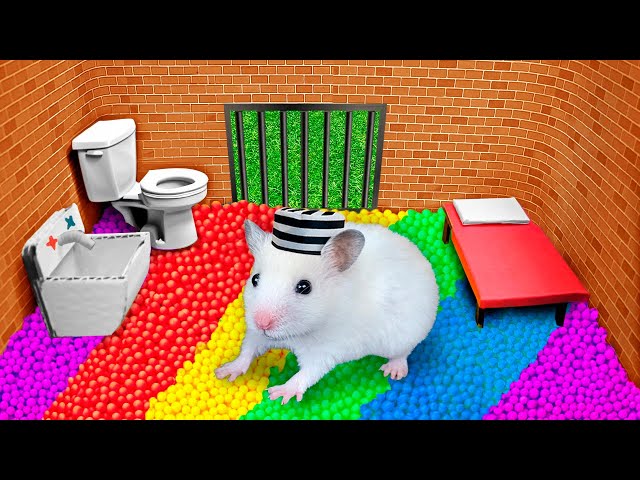 🐹 Hamster Escapes the Rainbow Prison [OBSTACLE COURSE]