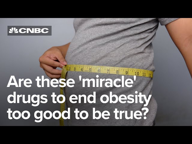 WeGovy, Ozempic or Mounjaro? How a new wave of weight loss drugs could transform the diet industry