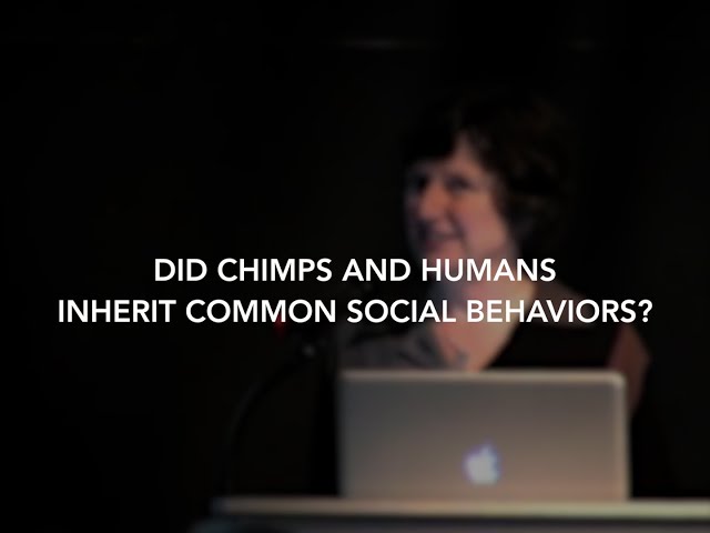 Did Chimps and Humans Inherit Common Social Behaviors? | Anne Pusey