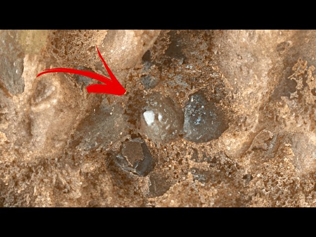 Unique mineral formation unraveled on Mars by Perseverance Rover