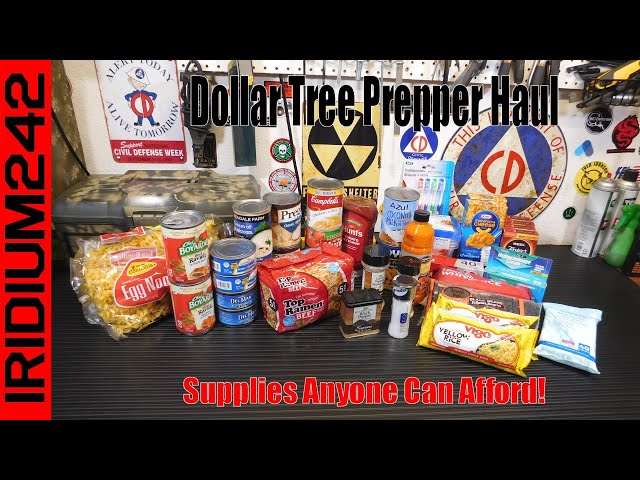 Dollar Tree Prepper Haul:  Preps Anyone Can Afford!