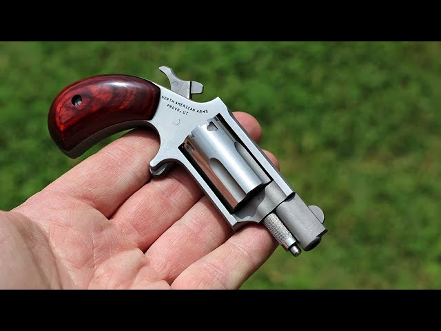 Top 6 Wheel Guns: Modern Revolvers 2022