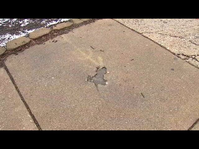 'Chicago rat hole' in Roscoe Village removed by city