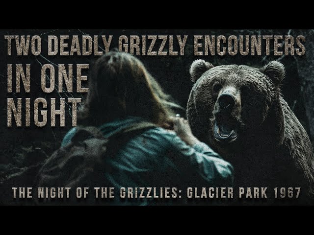 Two DEADLY Grizzly Bear ATTACKS In One Night - 1967 Night Of The Grizzlies
