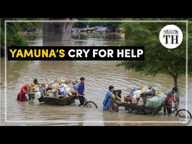 What caused Yamuna’s devastating floods? | The Hindu