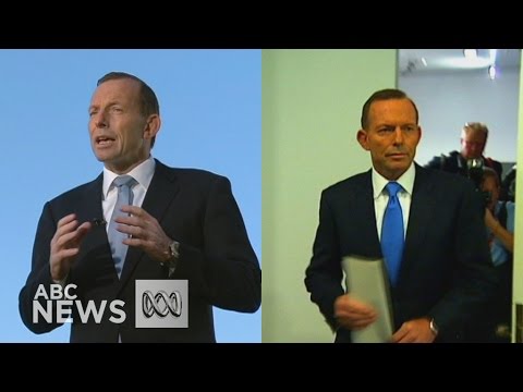 Tony Abbott: Former PM's dramatic political rise and fall