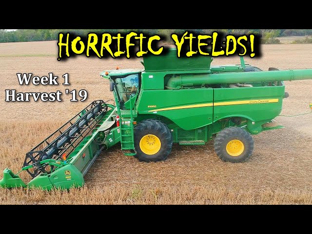 Not The Yields We Were Hoping! | Harvest ’19 – Vlog 19