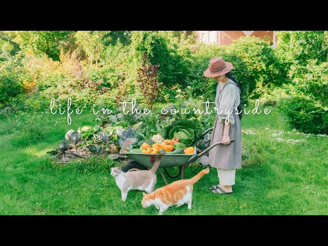 #120 September in my cottage home | Harvest Veggies, Cooking simple dishes,… | Daily Life Vlog