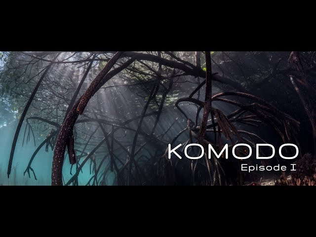 KOMODO 2019 | Episode One (May 07-16th)