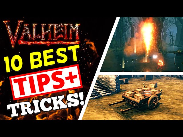 Valheim - My 10 BEST Tips!