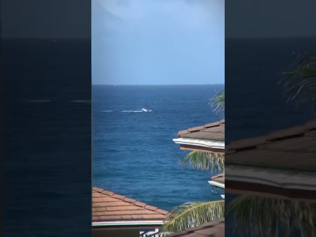 Whale spotted breaching off off Marine Corps Base Hawaii