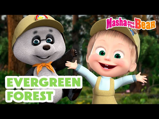 Masha and the Bear 2024 🌱 Evergreen Forest 🌳🌲 Best episodes cartoon collection 🎬