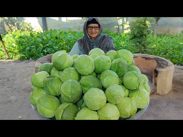 CABBAGE Cooked By Granny ❤ Village Style Cabbage Recipe | Veg Recipes | Village Food