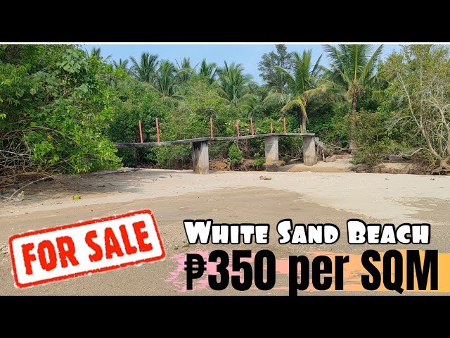 #60 white sand beach front property for sale in Philippines