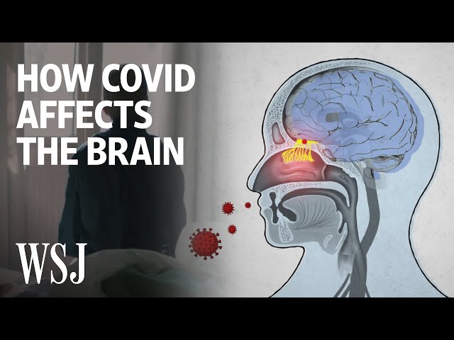 The Science Behind How the Coronavirus Affects the Brain | WSJ
