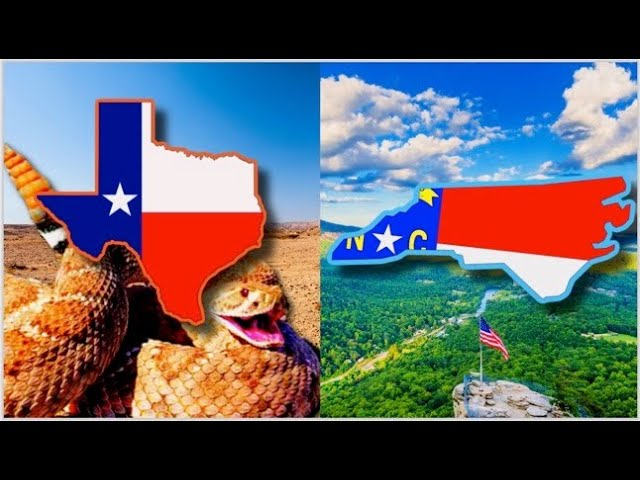 Why TEXAS is the WORST Compared to North Carolina