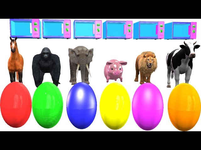 Funny Bunny Magic Tricks Surprise Eggs TransformationTo Animals - Animals Names And Sounds