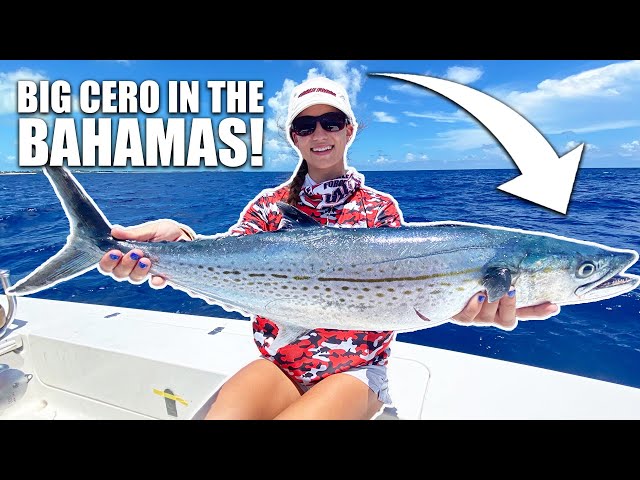 SURPRISE! LAST MINUTE TRIP TO THE BAHAMAS - Fishing in Chub Cay
