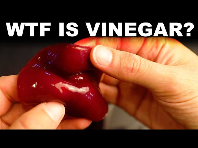 WTF is vinegar? And what is its MOTHER?