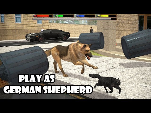 Ultimate Dog Simulator (by Gluten Free Games) - Part 3 - Android Gameplay [HD]