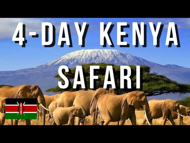 Kenya Safari 4-Day | Tsavo West - Ngulia Lodge | Amboseli - AA Lodge | Tsavo East - Voi Safari Lodge