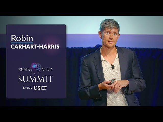 Robin Carhart-Harris - How Do Psychedelics Work?