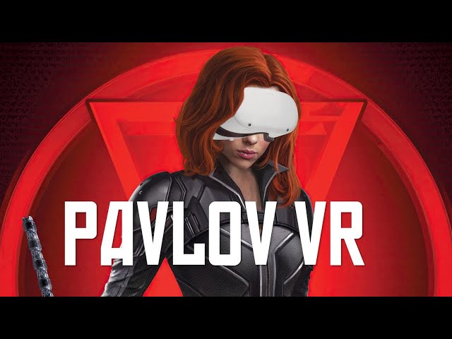 Attempting to play Pavlov VR