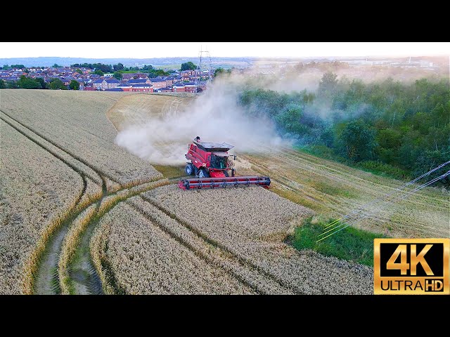 5,000+ Acres of Wheat DESTROYED BY XXL MONSTER CASE CLAAS NEW HOLLAND Harvester Combining