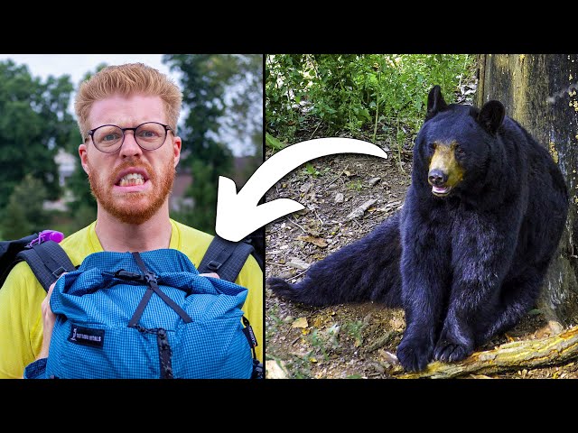 Beginner Hiking Tips & Mistakes - Bear Gets In!!